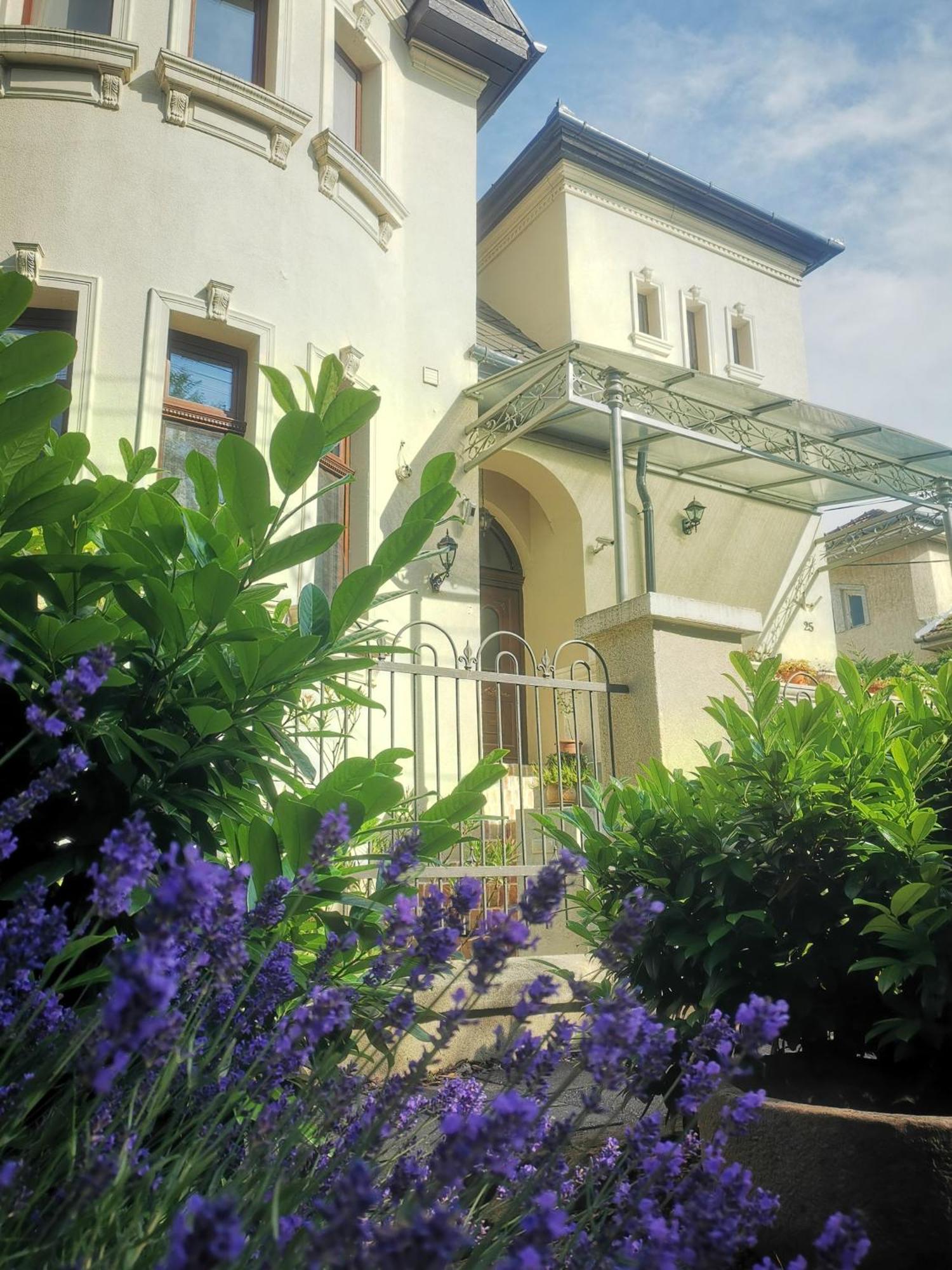 Kuria Apartman With Private Jacuzzi And Pool Budapešť Exteriér fotografie