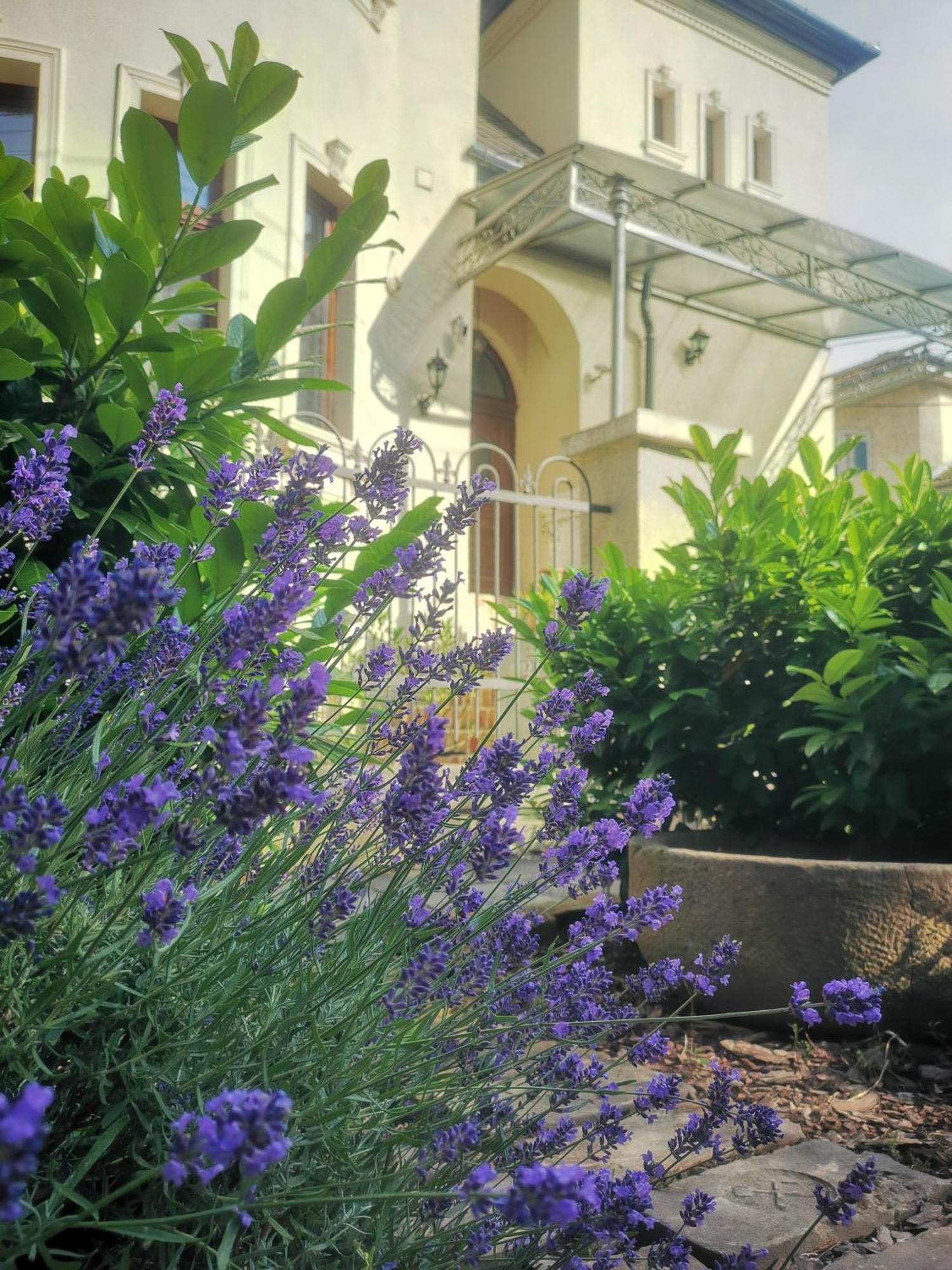 Kuria Apartman With Private Jacuzzi And Pool Budapešť Exteriér fotografie