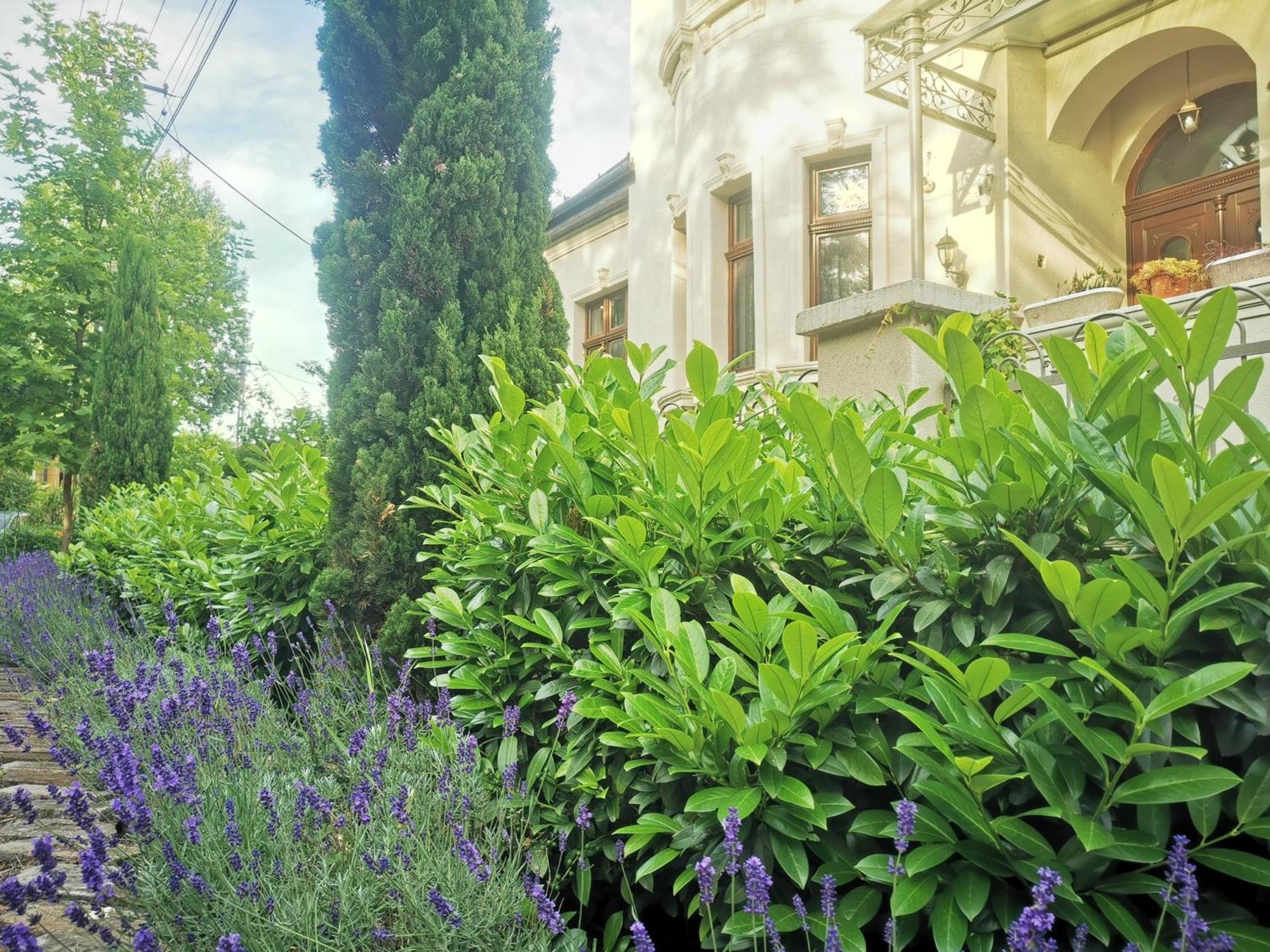 Kuria Apartman With Private Jacuzzi And Pool Budapešť Exteriér fotografie